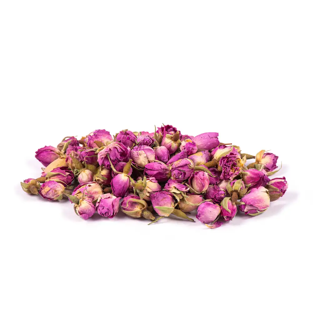 Damask rose iran kashan
